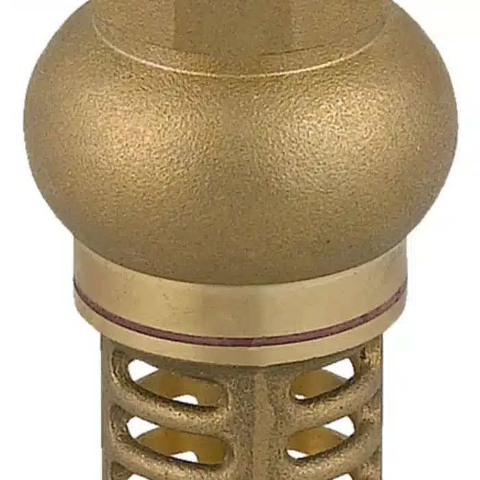 Nepovratni-ventil-z-medeninasto-sesalnim-filtrom-medeninasta-obloga-brez-vzmeti-1-2 Nepovratni-ventil-z-medeninasto-sesalnim-filtrom-medeninasta-obloga-brez-vzmeti-1-2