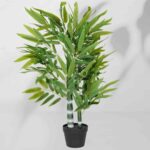 Sobna rastlina Bambusovo drevesce 5188, 90 cm