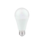 LED žarnica 12 W E27 Eko-Light EKZA7800