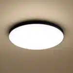Črna stropna svetilka Slimi 24 W, 4000 K, Milagro