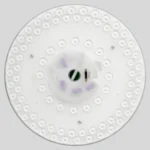 Eko-Light LED modul FIX 36 W 5CCT Fi239