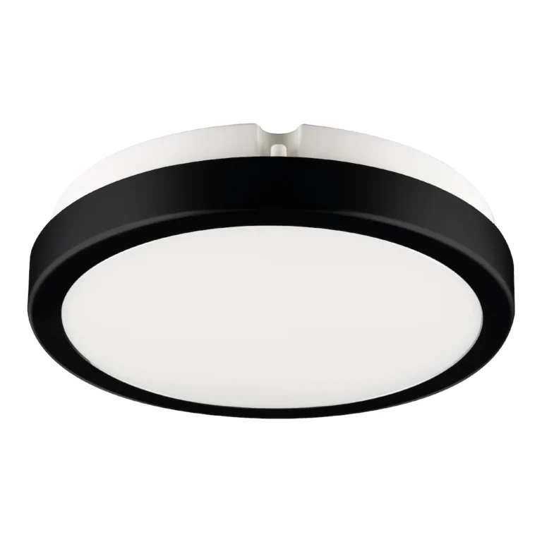 Črna plafonjera Eko-Light Vera 12 W, 4000 K, IP65